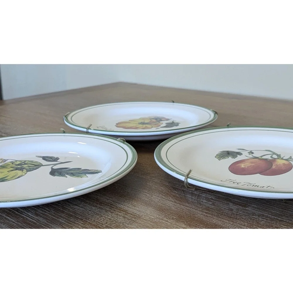 Williams Sonoma Heirloom Tomato 9